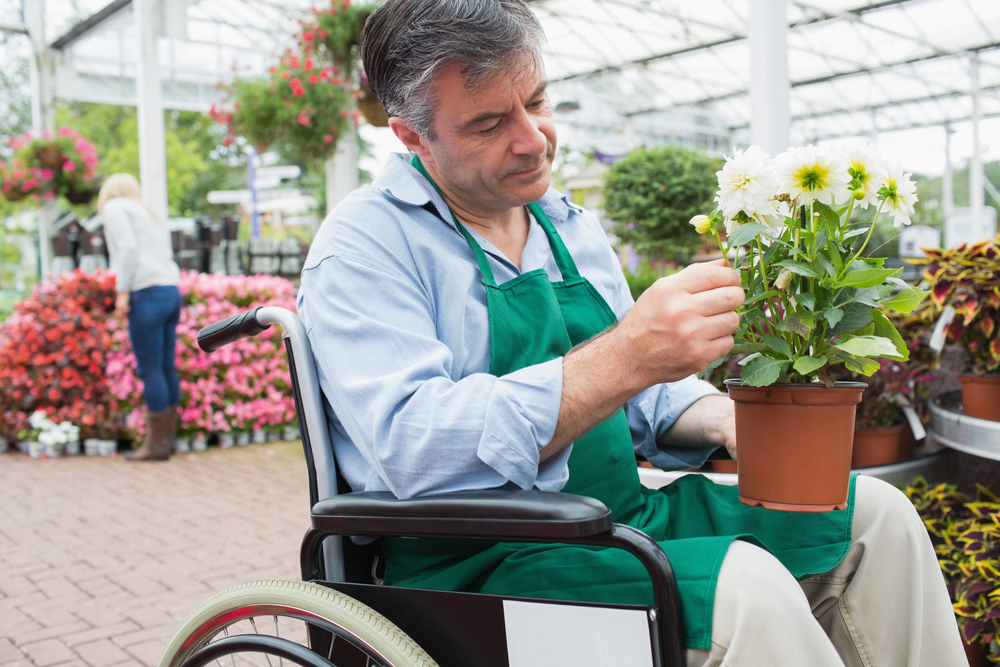 Garden,Center,Worker,In,Wheelchair,Holding,Potted,Plant,In,Greenhouse